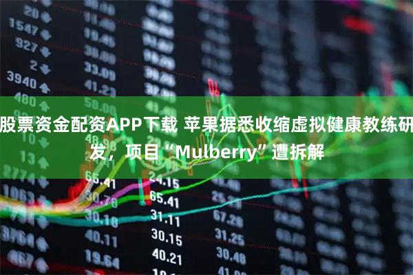 股票资金配资APP下载 苹果据悉收缩虚拟健康教练研发，项目“Mulberry”遭拆解